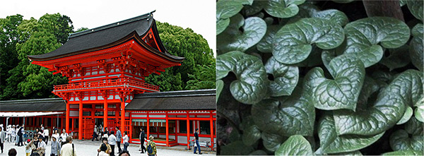 Фестиваль Аой Мацури в Киото - храм и мальва